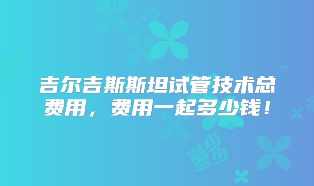 吉尔吉斯斯坦试管技术总费用，费用一起多少钱！