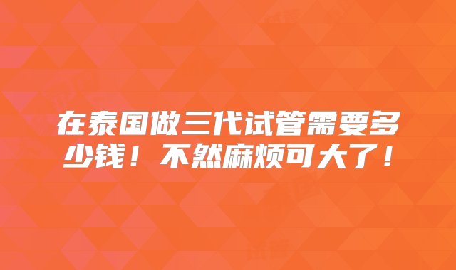 在泰国做三代试管需要多少钱！不然麻烦可大了！