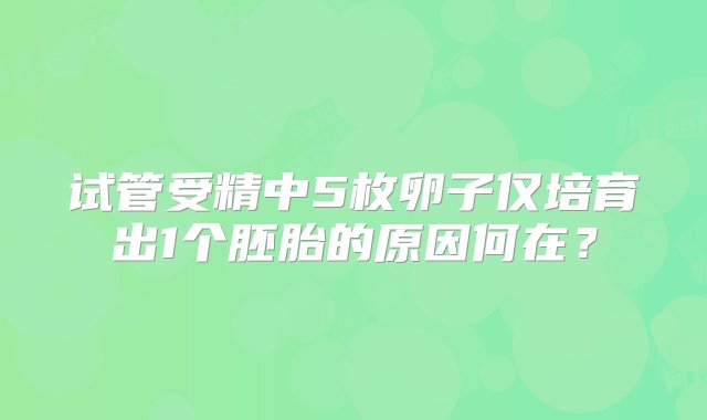 试管受精中5枚卵子仅培育出1个胚胎的原因何在？