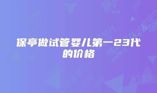 保亭做试管婴儿第一23代的价格