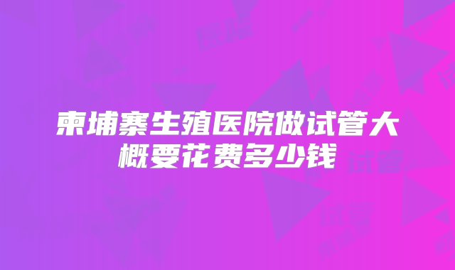 柬埔寨生殖医院做试管大概要花费多少钱