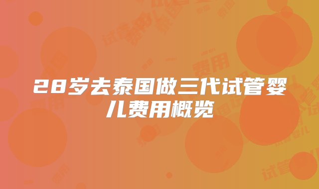 28岁去泰国做三代试管婴儿费用概览