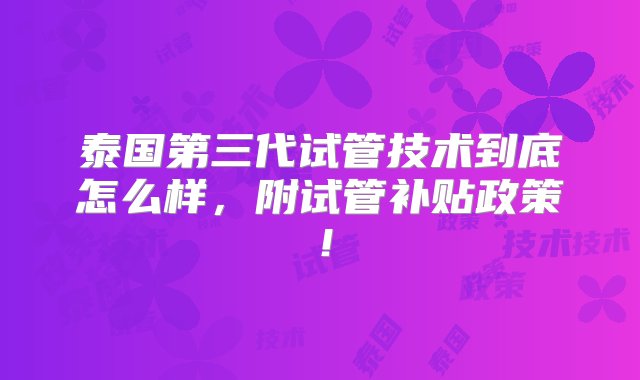 泰国第三代试管技术到底怎么样，附试管补贴政策！