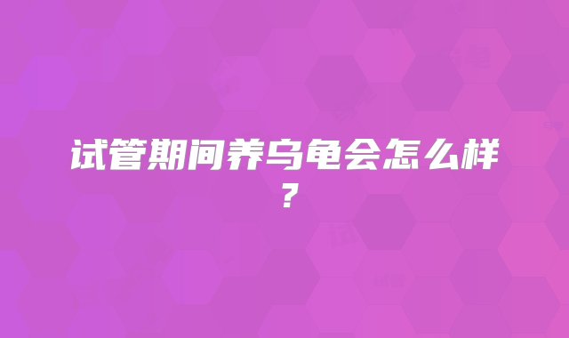 试管期间养乌龟会怎么样？