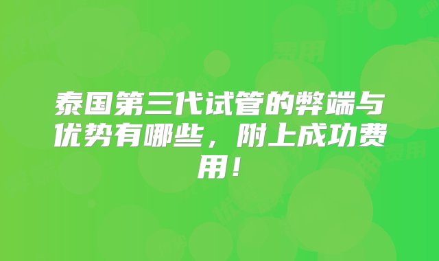 泰国第三代试管的弊端与优势有哪些，附上成功费用！