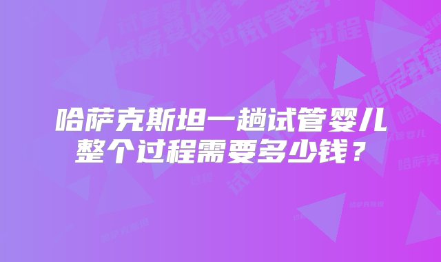 哈萨克斯坦一趟试管婴儿整个过程需要多少钱？