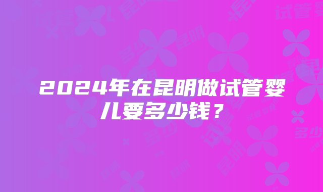 2024年在昆明做试管婴儿要多少钱？