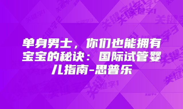 单身男士，你们也能拥有宝宝的秘诀：国际试管婴儿指南-思普乐