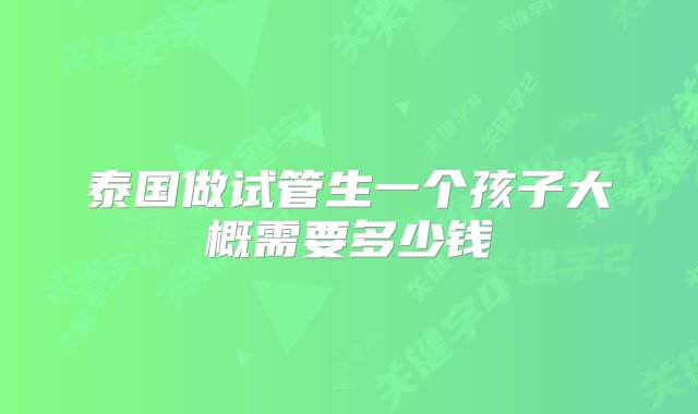 泰国做试管生一个孩子大概需要多少钱