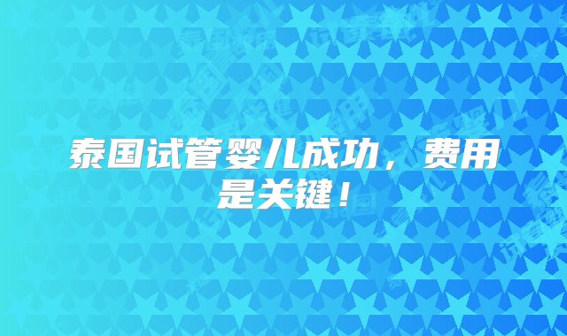 泰国试管婴儿成功，费用是关键！