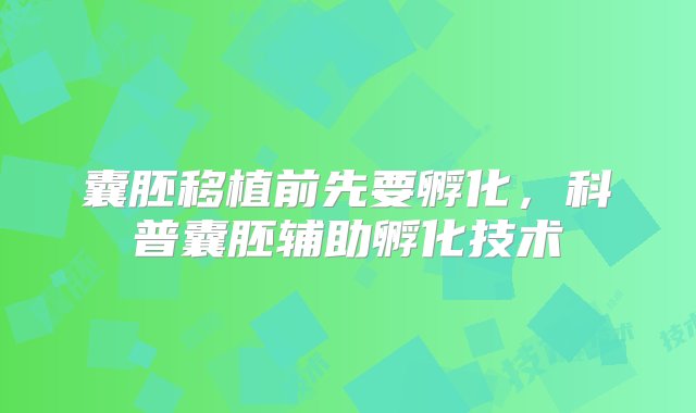 囊胚移植前先要孵化，科普囊胚辅助孵化技术