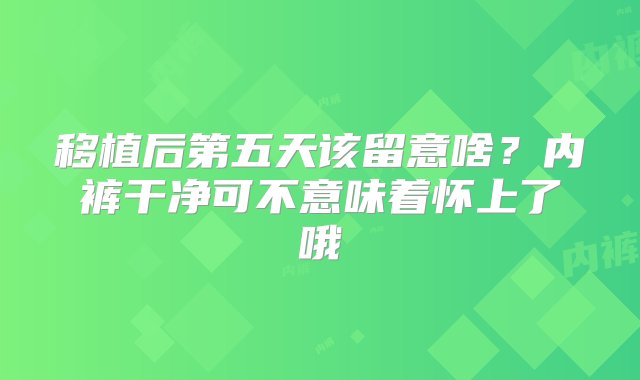 移植后第五天该留意啥？内裤干净可不意味着怀上了哦