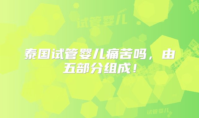 泰国试管婴儿痛苦吗，由五部分组成！