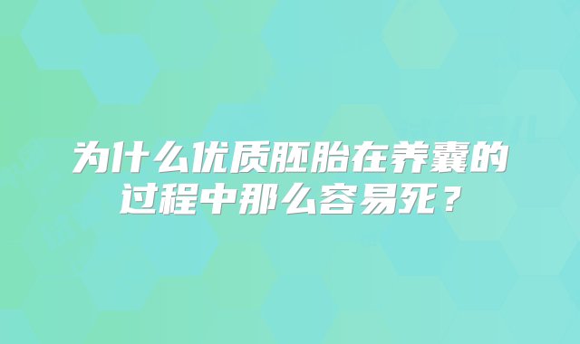 为什么优质胚胎在养囊的过程中那么容易死？